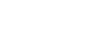 Логотип VEGA PPF