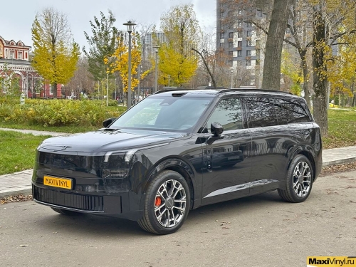 Оклейка зон риска Lynk&Co 900